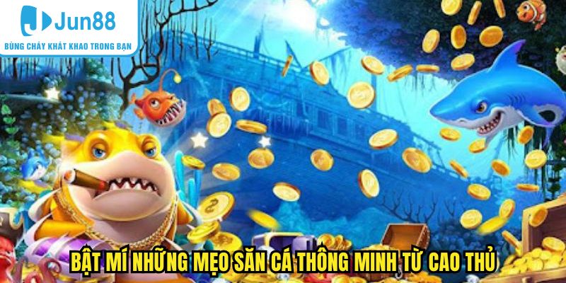 Bật mí những mẹo săn cá thông minh từ cao thủ